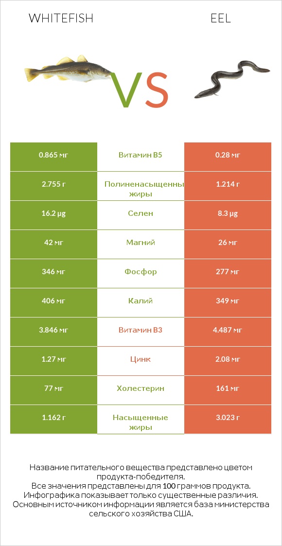 Whitefish vs Eel infographic