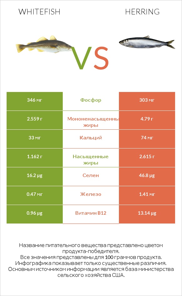 Whitefish vs Herring infographic