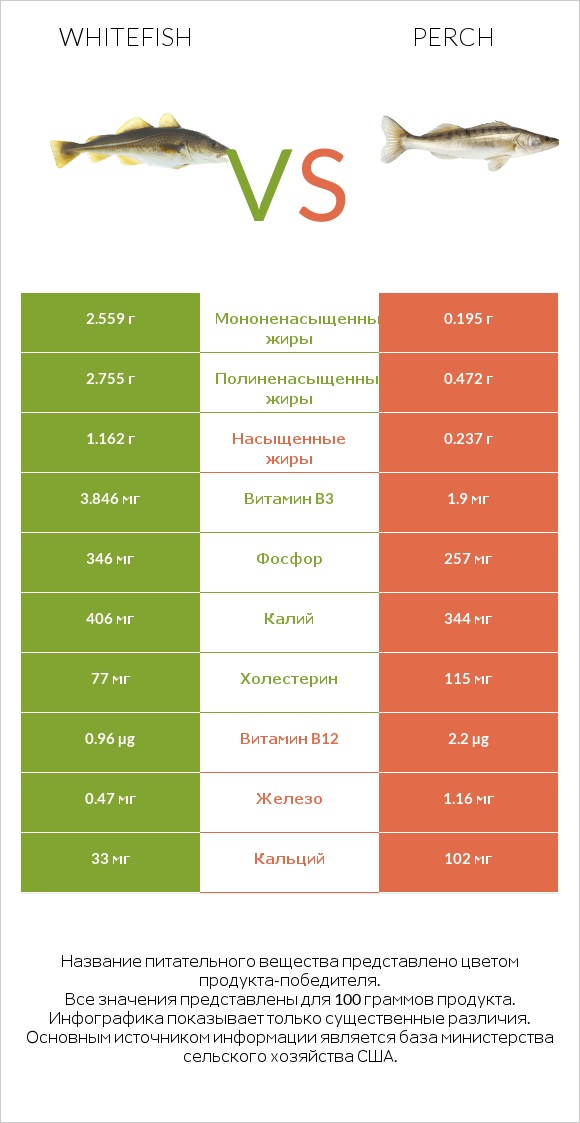 Whitefish vs Perch infographic