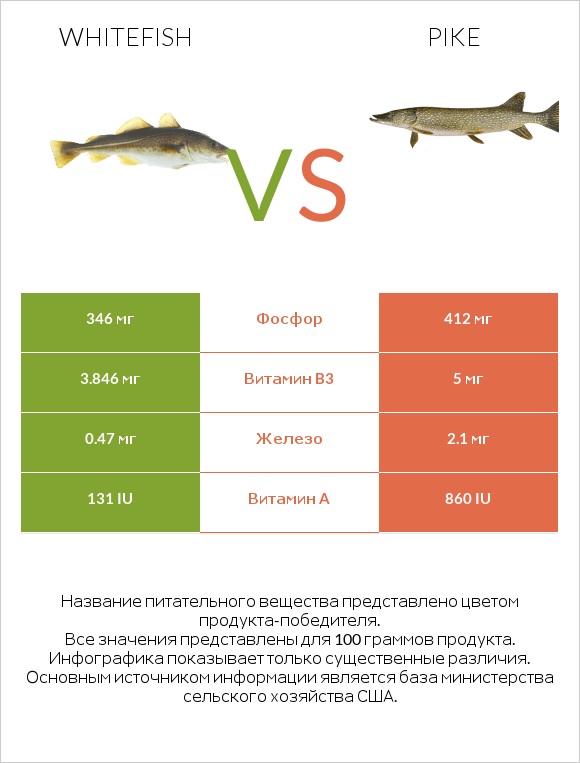 Whitefish vs Pike infographic