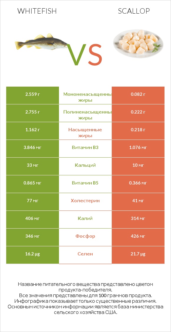 Whitefish vs Scallop infographic