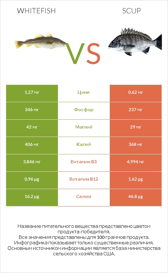 Whitefish vs Scup infographic