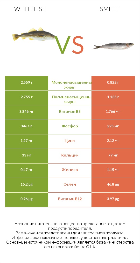 Whitefish vs Smelt infographic