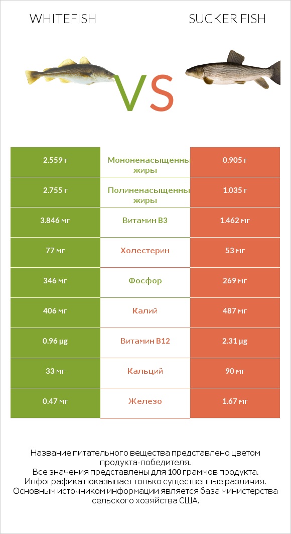 Whitefish vs Sucker fish infographic