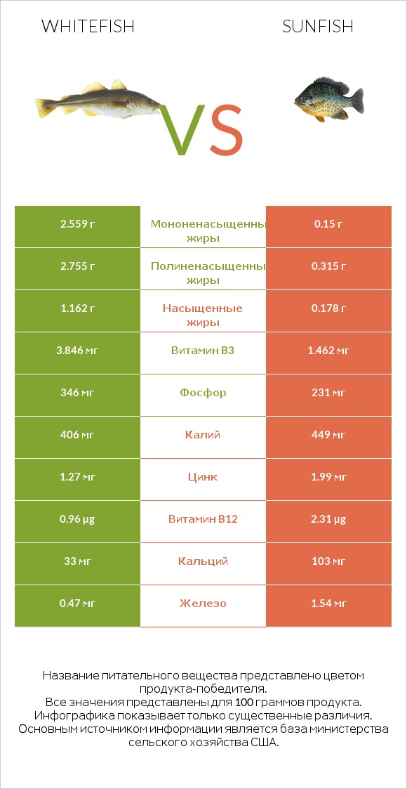 Whitefish vs Sunfish infographic