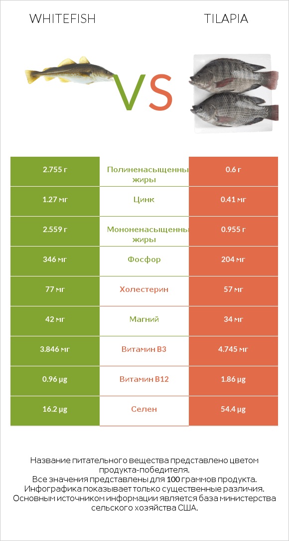 Whitefish vs Tilapia infographic