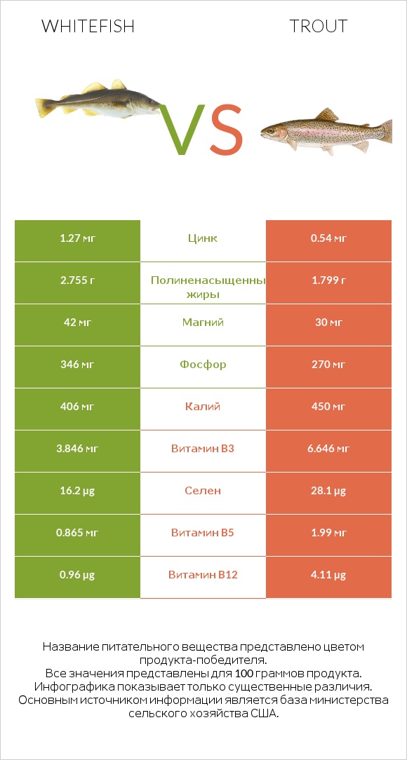 Whitefish vs Trout infographic