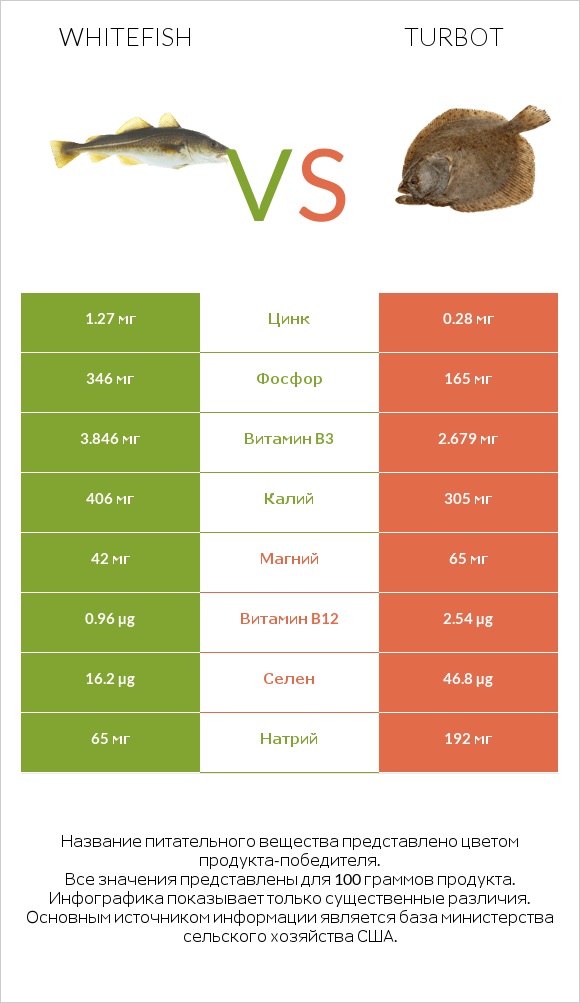 Whitefish vs Turbot infographic