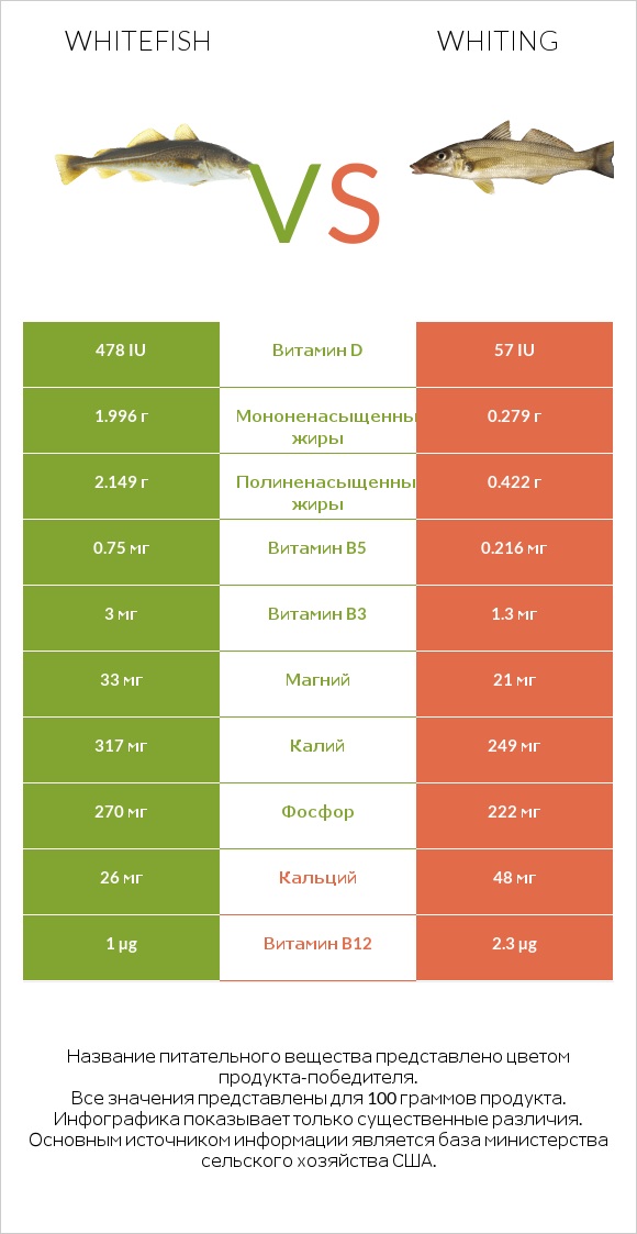 Whitefish vs Whiting infographic