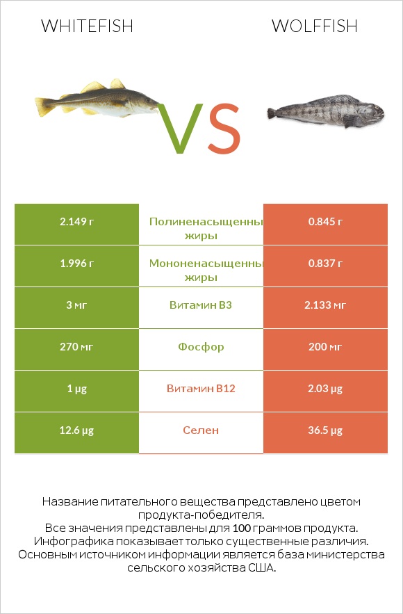 Whitefish vs Wolffish infographic