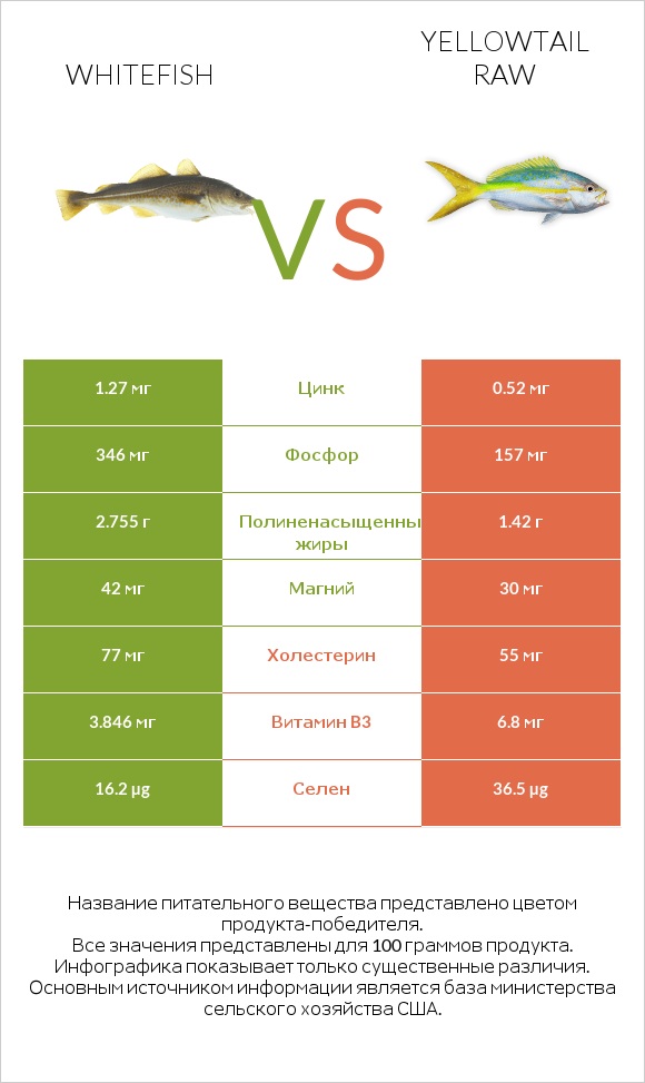 Whitefish vs Yellowtail raw infographic