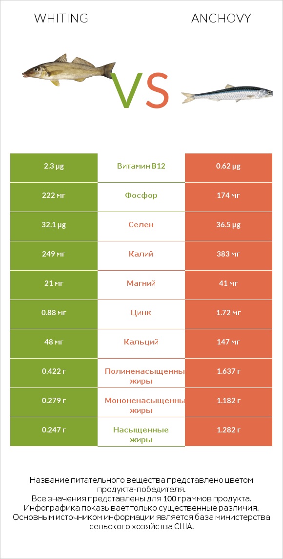 Whiting vs Anchovy infographic