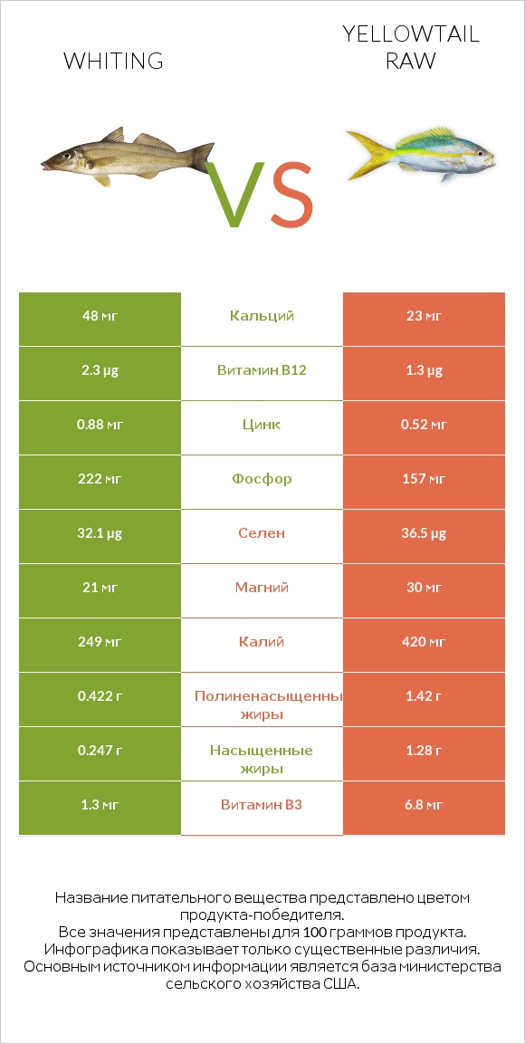 Whiting vs Yellowtail raw infographic