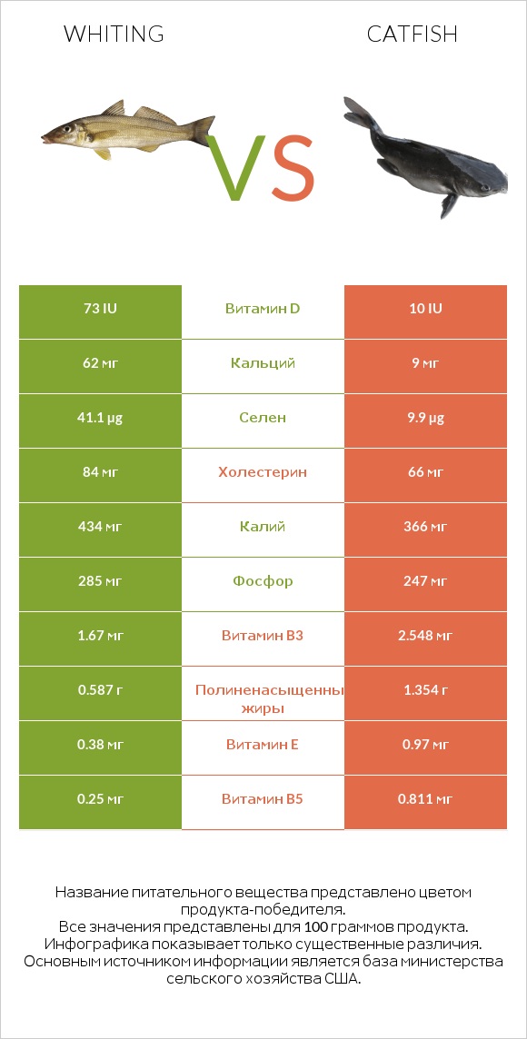 Whiting vs Catfish infographic