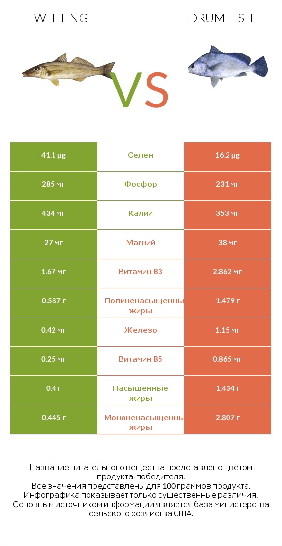 Whiting vs Drum fish infographic