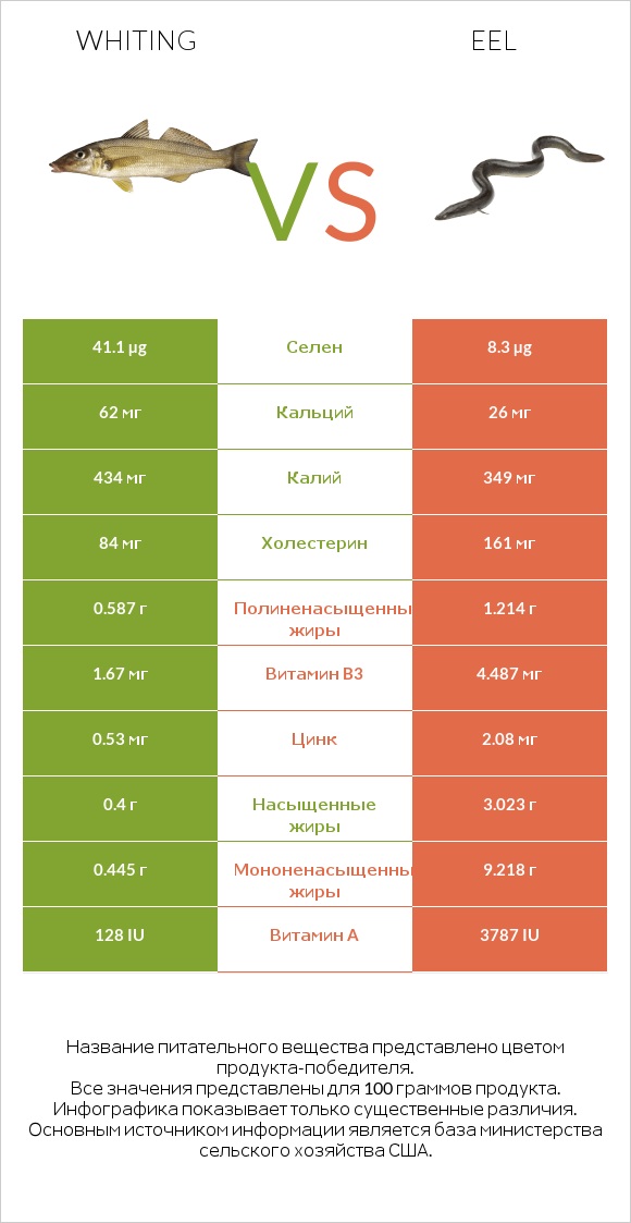 Whiting vs Eel infographic