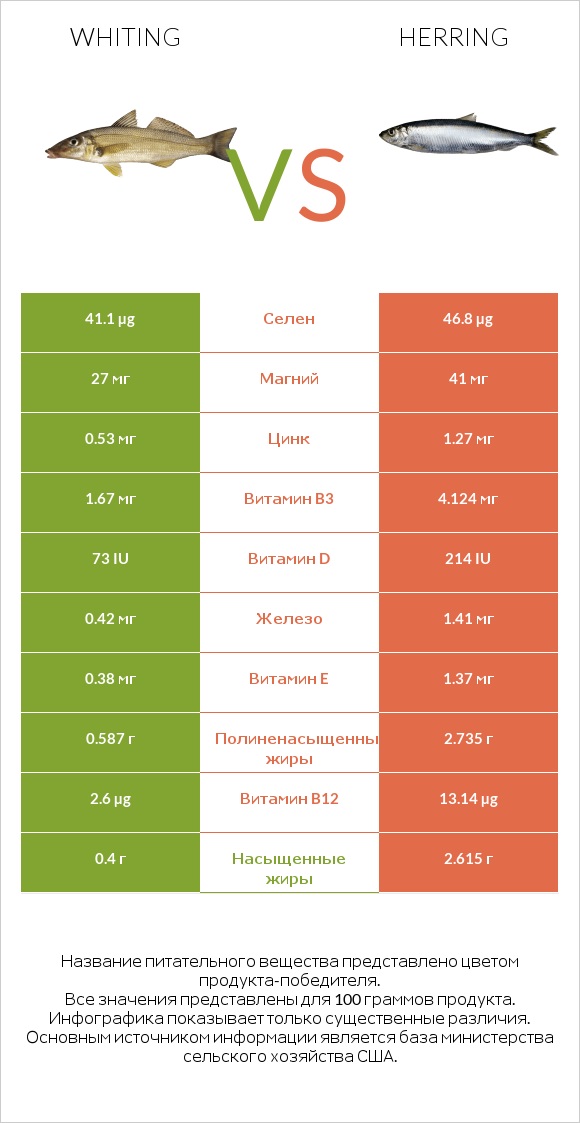 Whiting vs Herring infographic