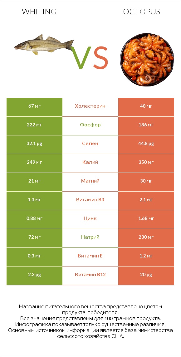 Whiting vs Octopus infographic