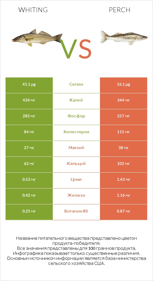 Whiting vs Perch infographic