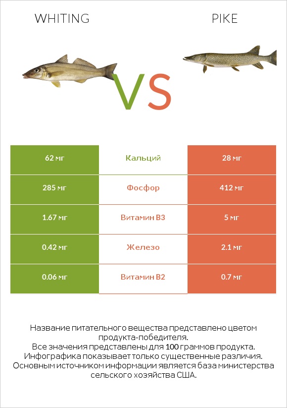 Whiting vs Pike infographic