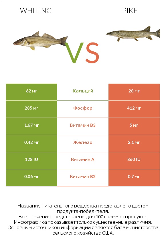 Whiting vs Pike infographic