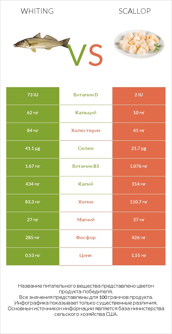 Whiting vs Scallop infographic