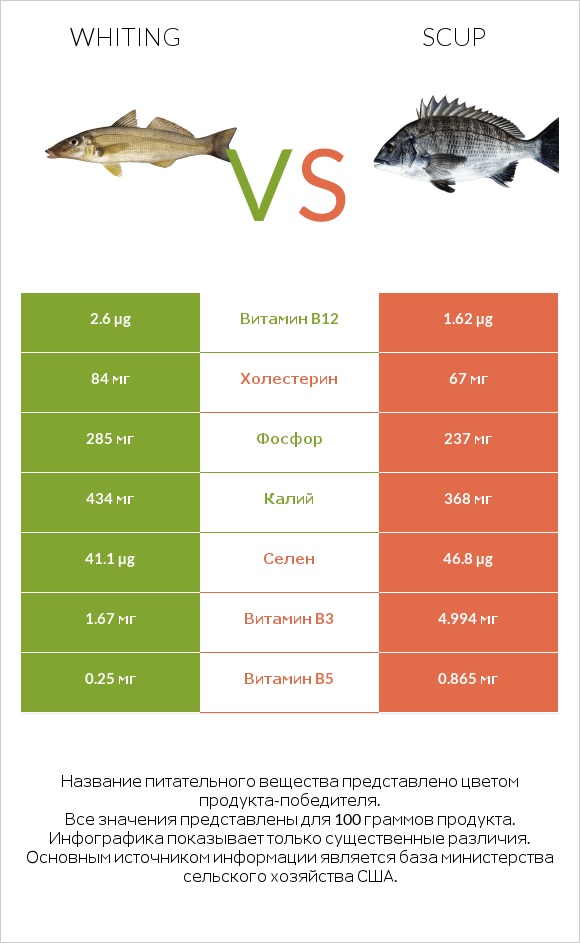 Whiting vs Scup infographic