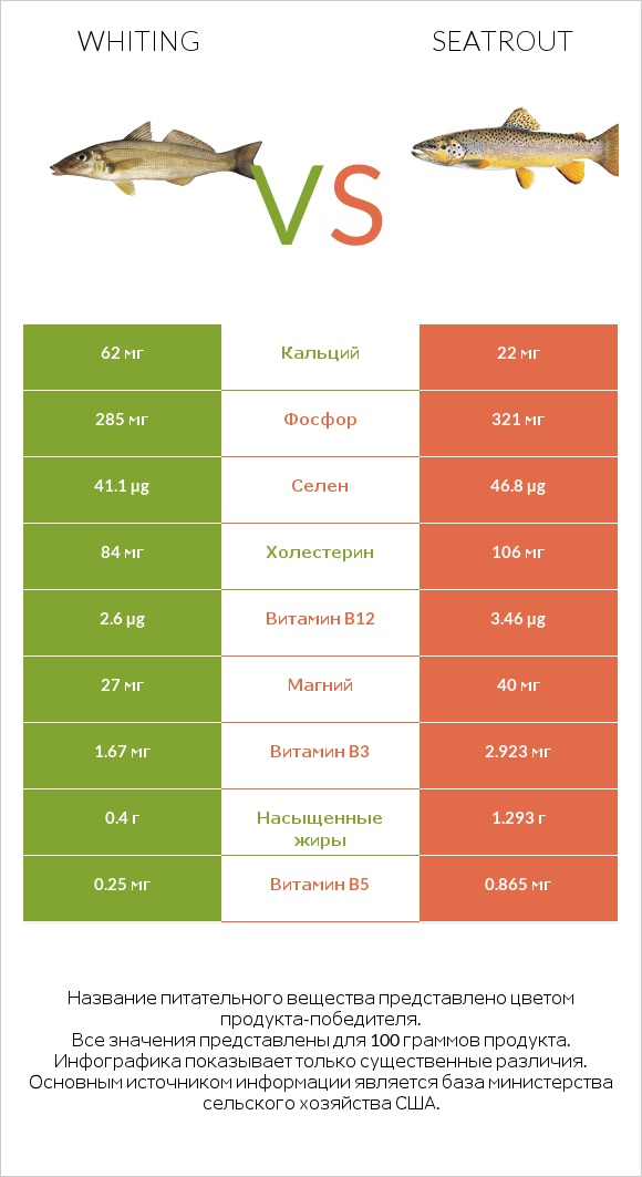 Whiting vs Seatrout infographic