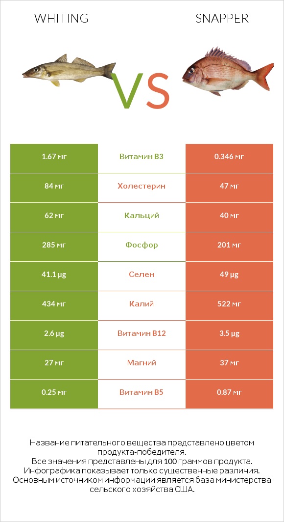 Whiting vs Snapper infographic