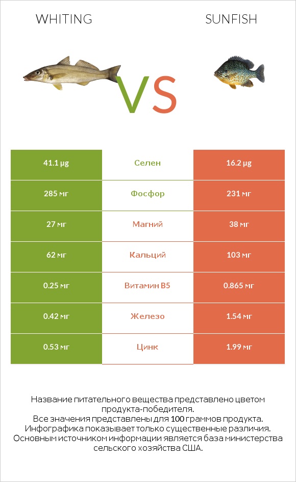 Whiting vs Sunfish infographic