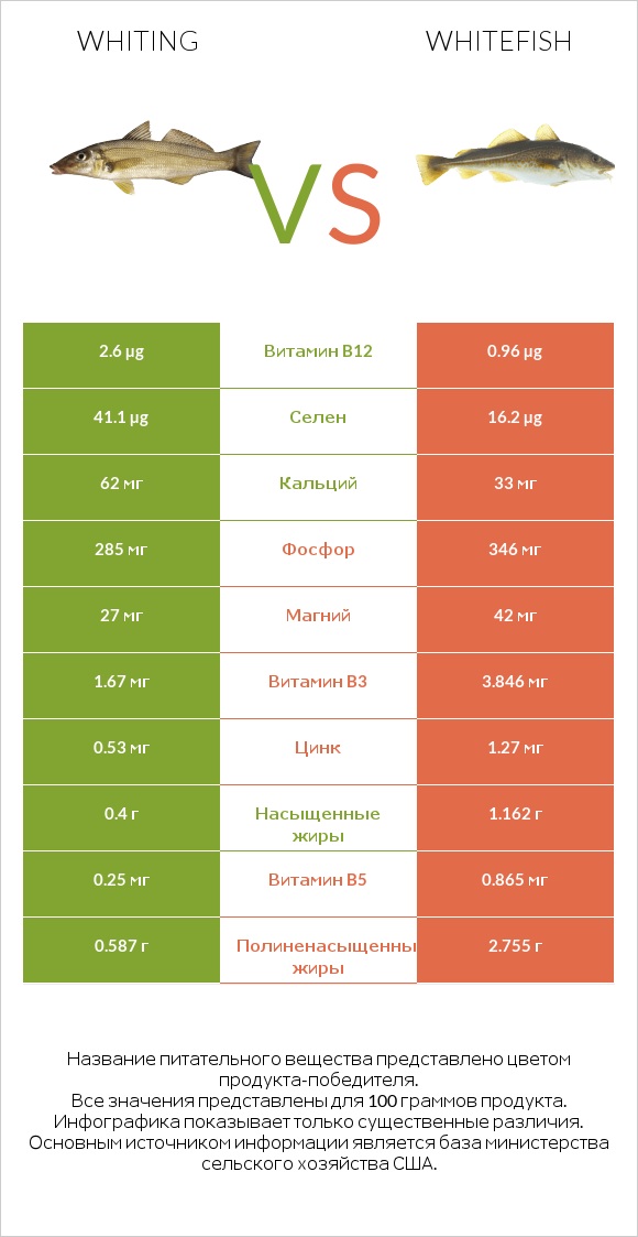 Whiting vs Whitefish infographic