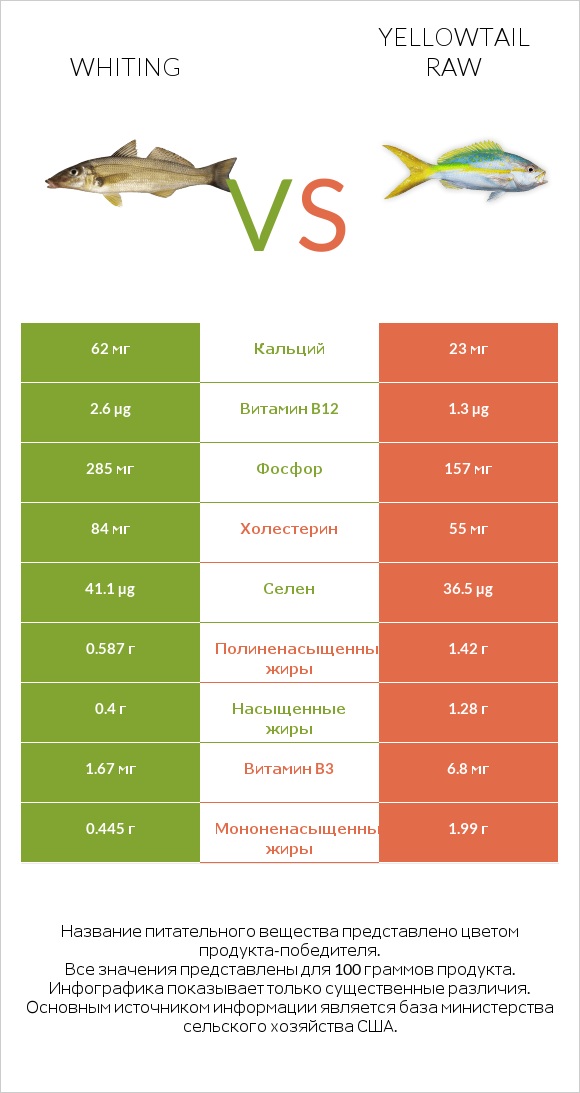 Whiting vs Yellowtail raw infographic