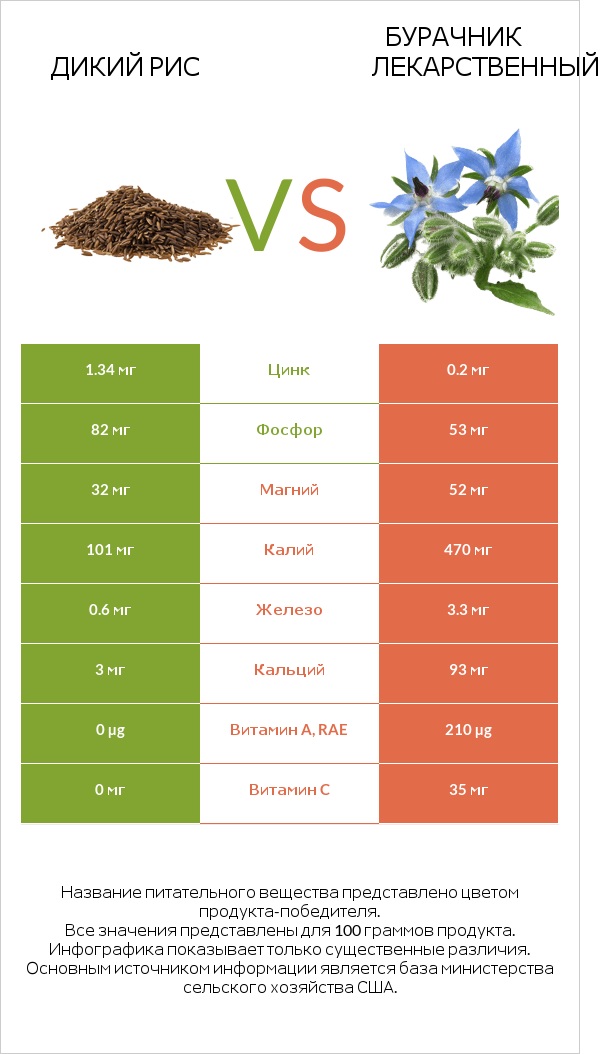 Дикий рис vs Бурачник лекарственный infographic