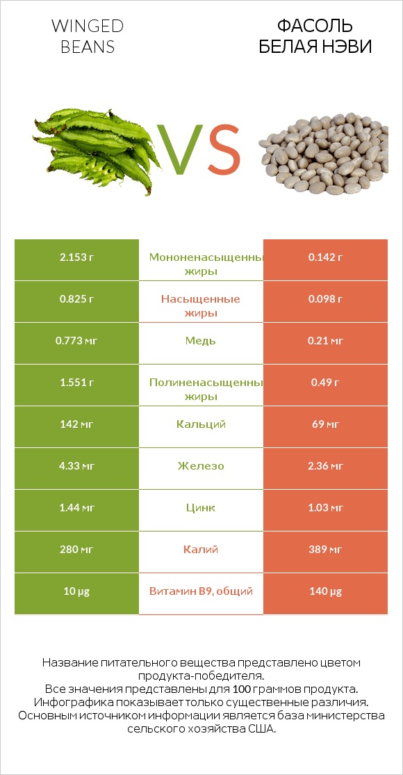 Winged beans vs Фасоль белая нэви infographic