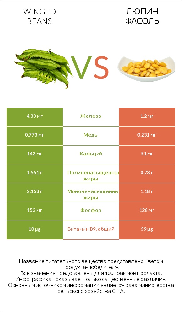 Winged beans vs Люпин Фасоль infographic