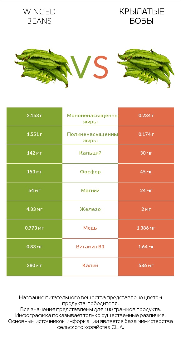 Фасоль крылатая vs Крылатые бобы infographic