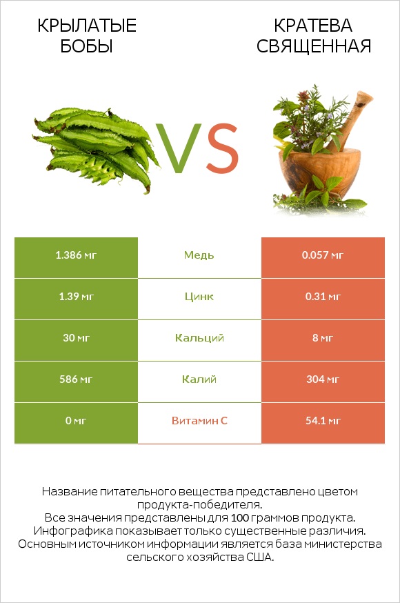 Крылатые бобы vs Кратева священная infographic