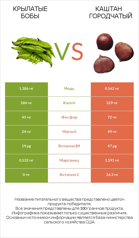 Крылатые бобы vs Каштан городчатый infographic