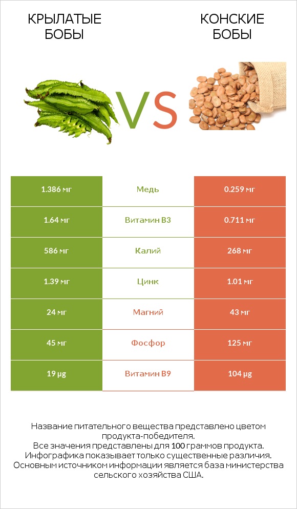 Крылатые бобы vs Конские бобы infographic