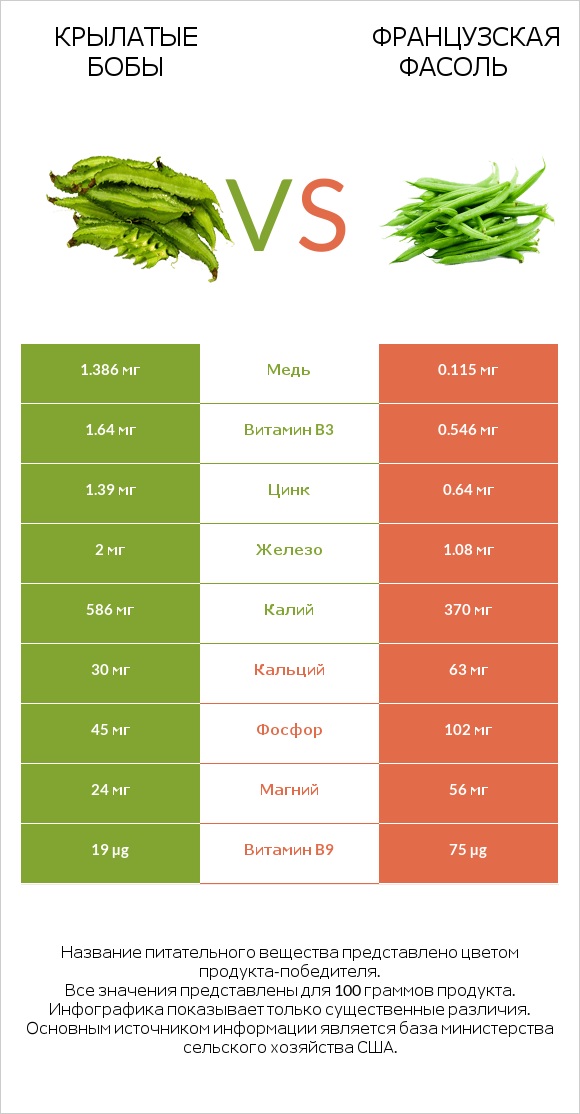 Крылатые бобы vs Французская фасоль infographic