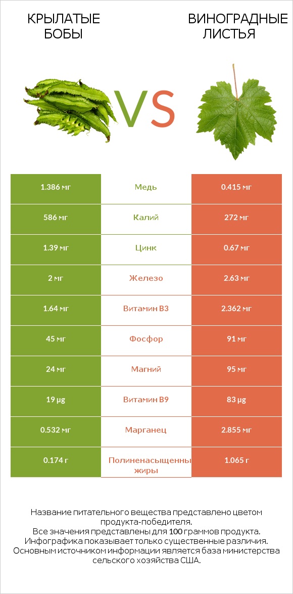 Крылатые бобы vs Виноградные листья infographic