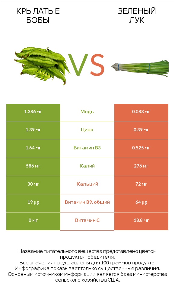 Крылатые бобы vs Зеленый лук infographic