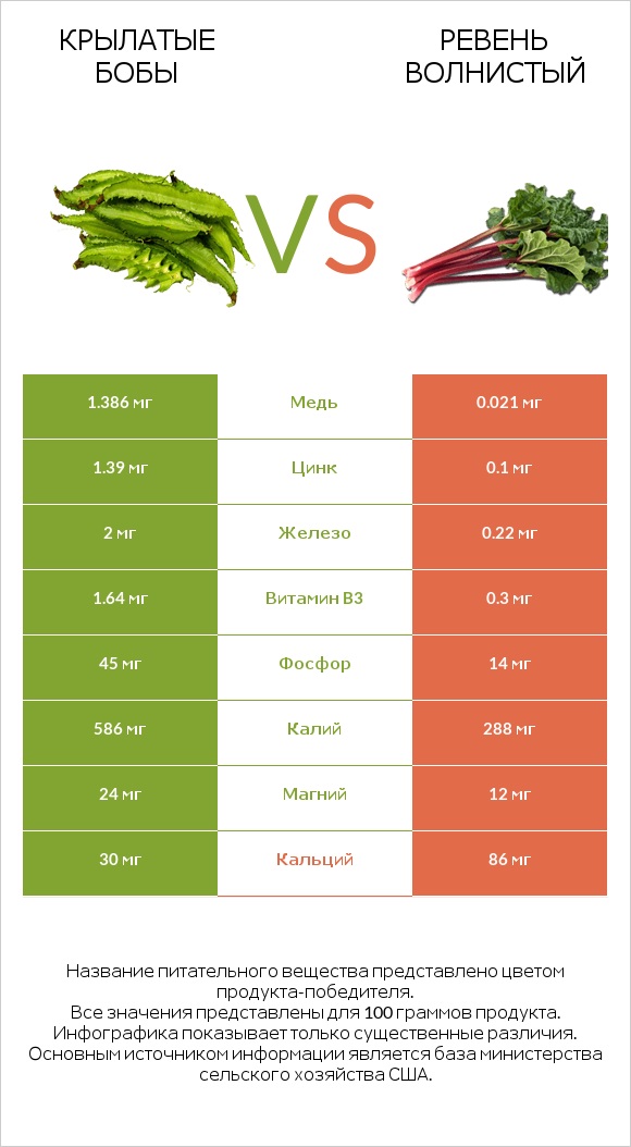 Крылатые бобы vs Ревень волнистый infographic