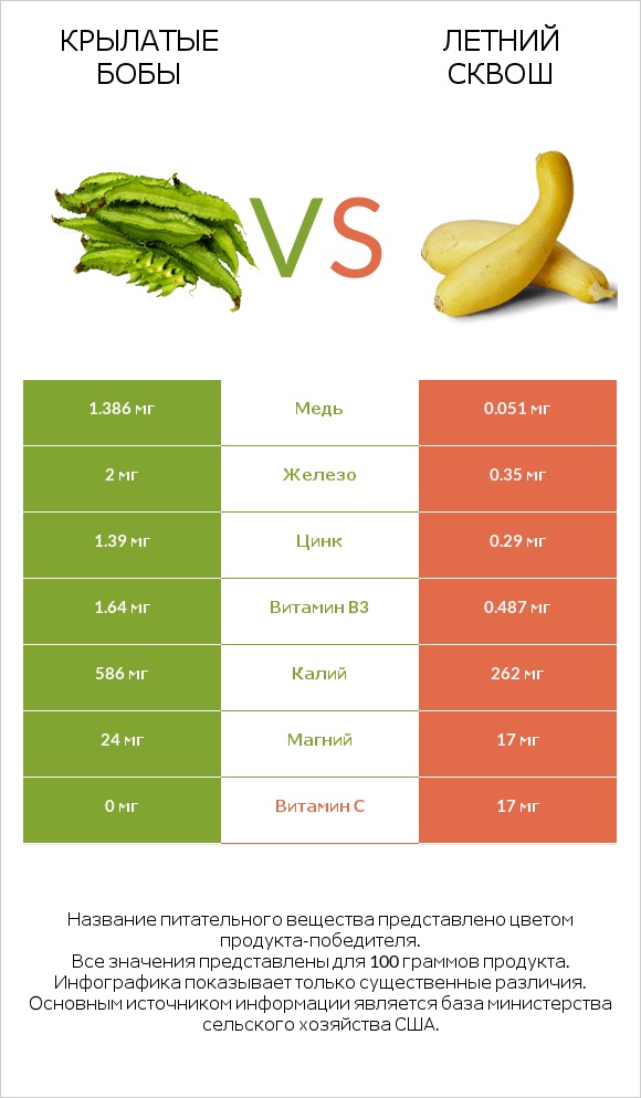 Крылатые бобы vs Летний сквош infographic