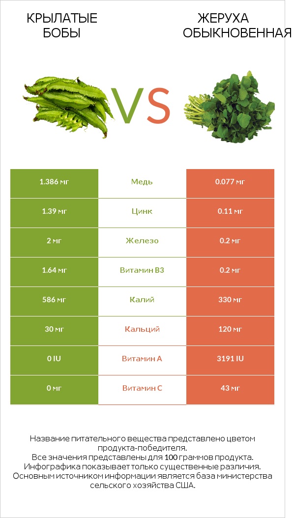 Крылатые бобы vs Жеруха обыкновенная infographic