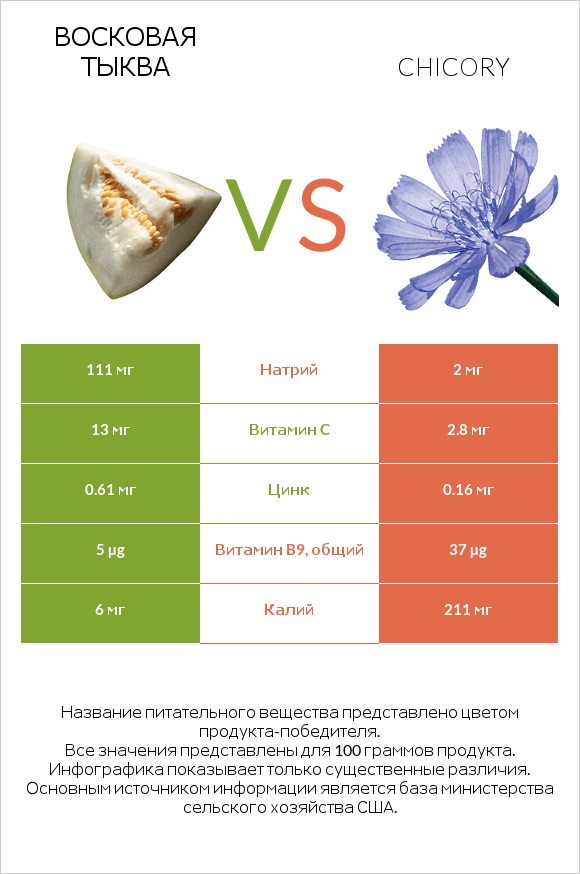 Восковая тыква vs Chicory infographic