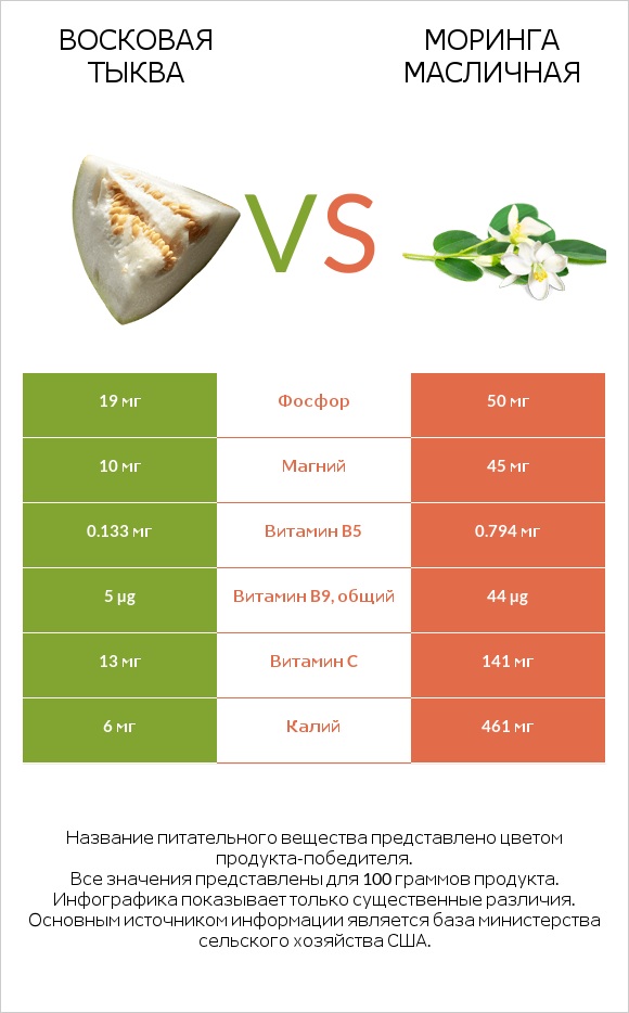 Восковая тыква vs Моринга масличная infographic