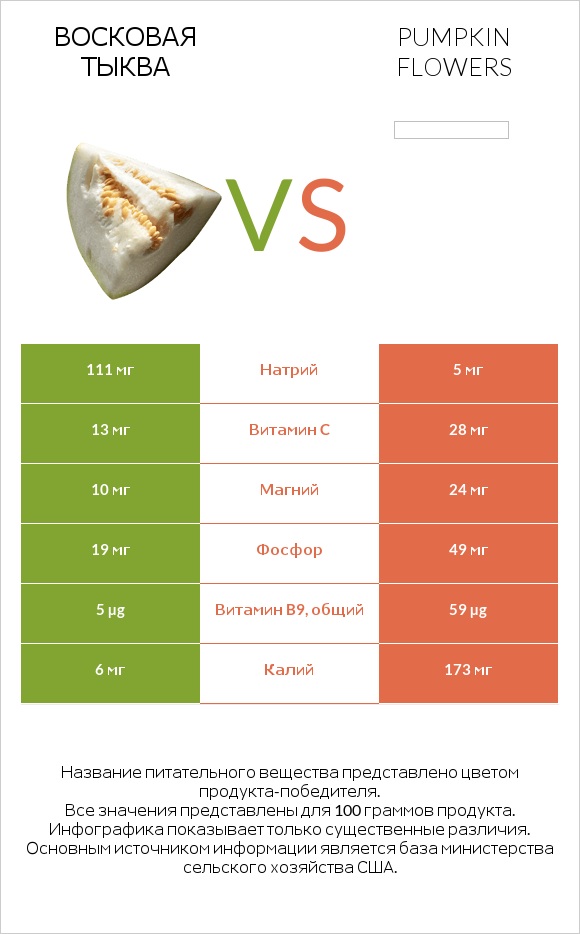 Восковая тыква vs Pumpkin flowers infographic