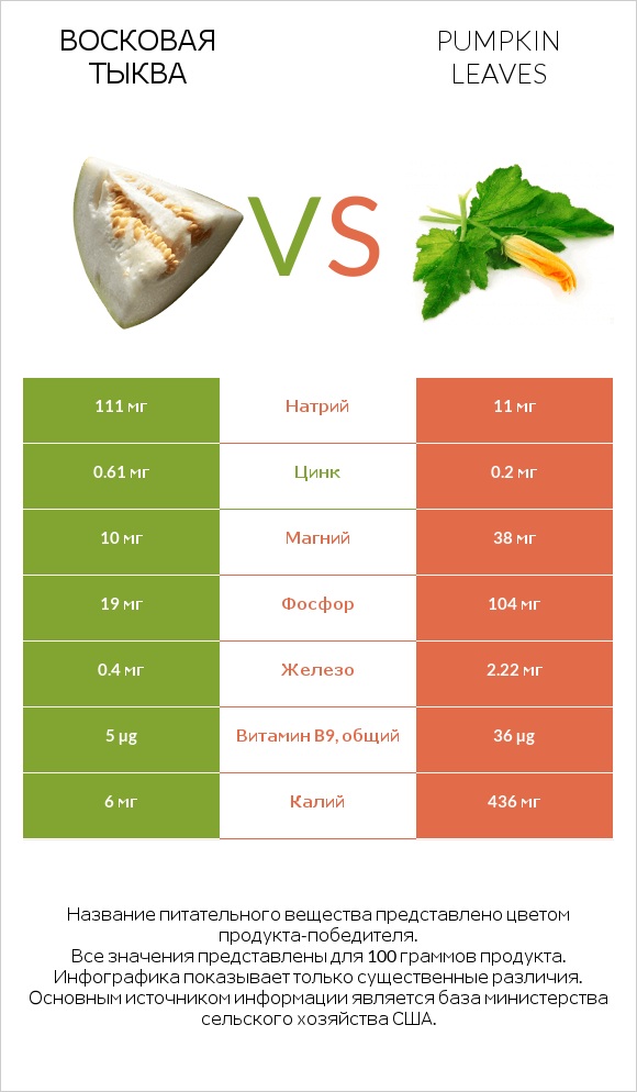 Восковая тыква vs Pumpkin leaves infographic
