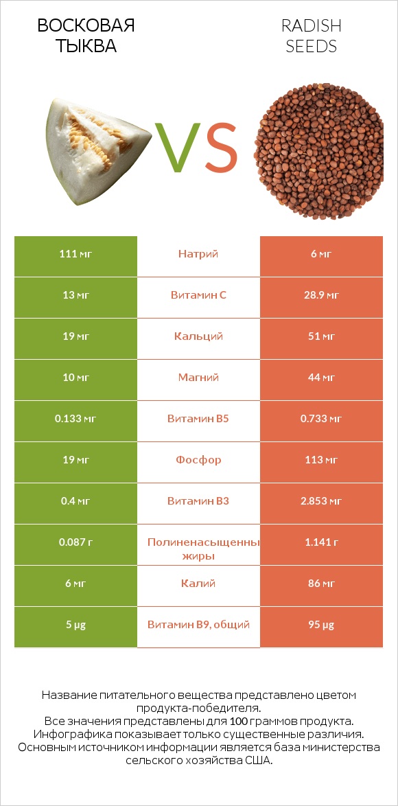 Восковая тыква vs Radish seeds infographic